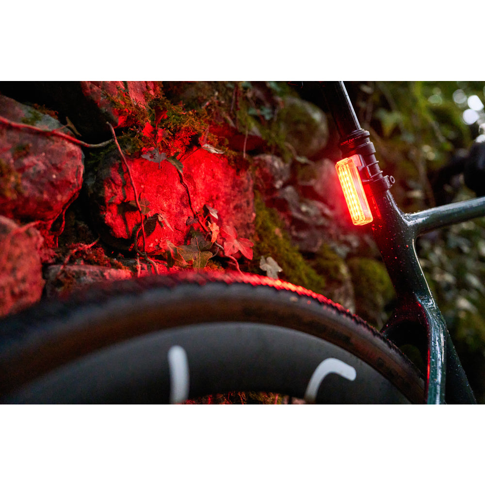 Dunwich 30 Rear Bike Light (Black)